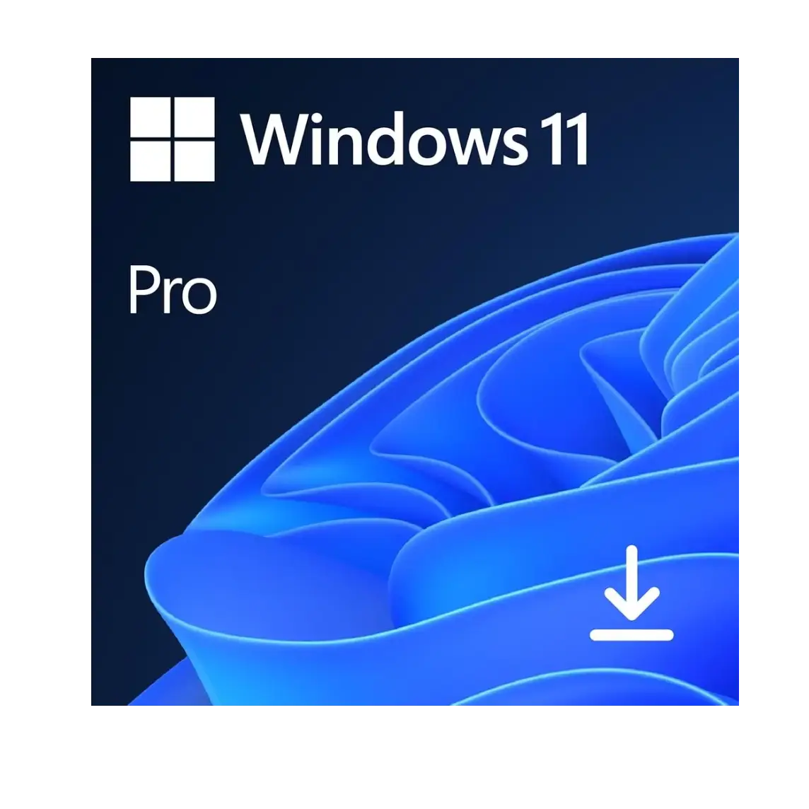 Licenças Windows 11 Pro + Office 2021 Professional